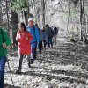 03 bei Waldhausen - Schättere-Trasse